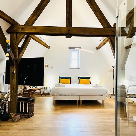 Apartamento Le Loft Colmar Exterior foto