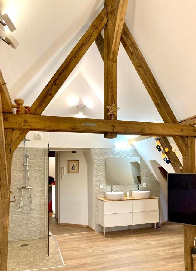 Apartamento Le Loft Colmar Exterior foto