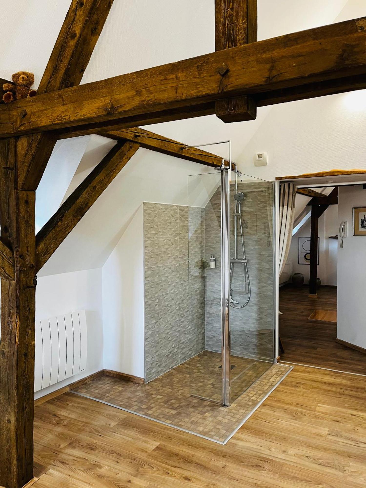 Apartamento Le Loft Colmar Exterior foto